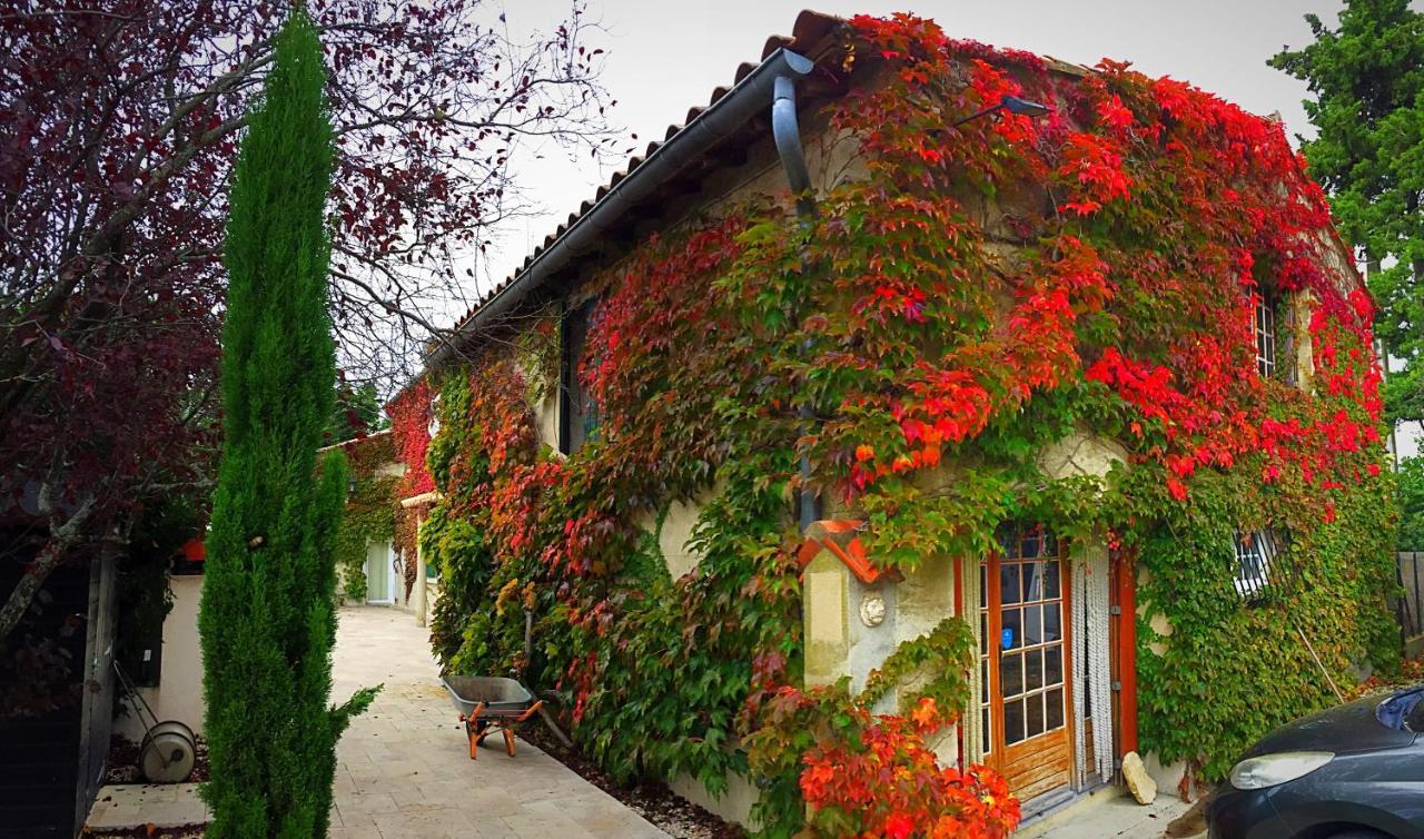 Le Mas Des Abeilles - Chambres D'Hotes En Drome Provencale La Begude-de-Mazenc Экстерьер фото